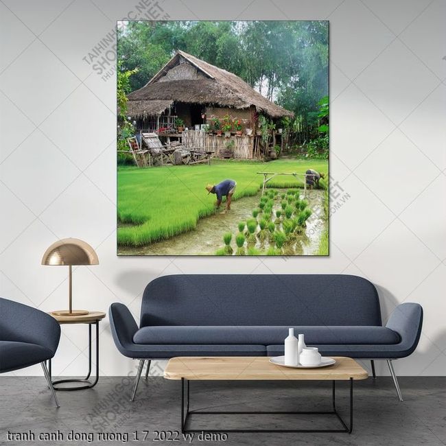 tranh canh dong ruong 1 7 2022 vy